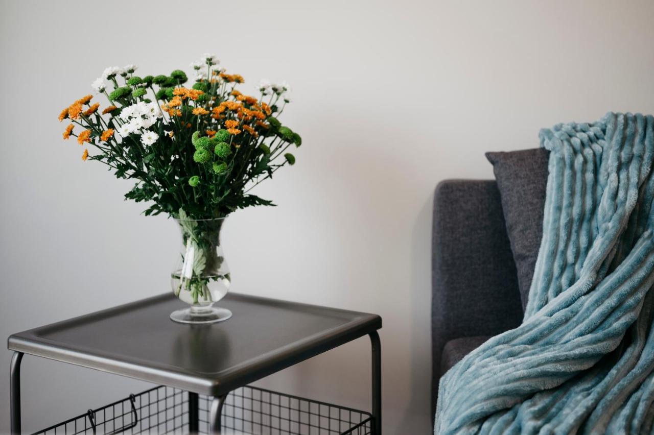 Nocosfera Apartament Serbinow Kaliszki 외부 사진