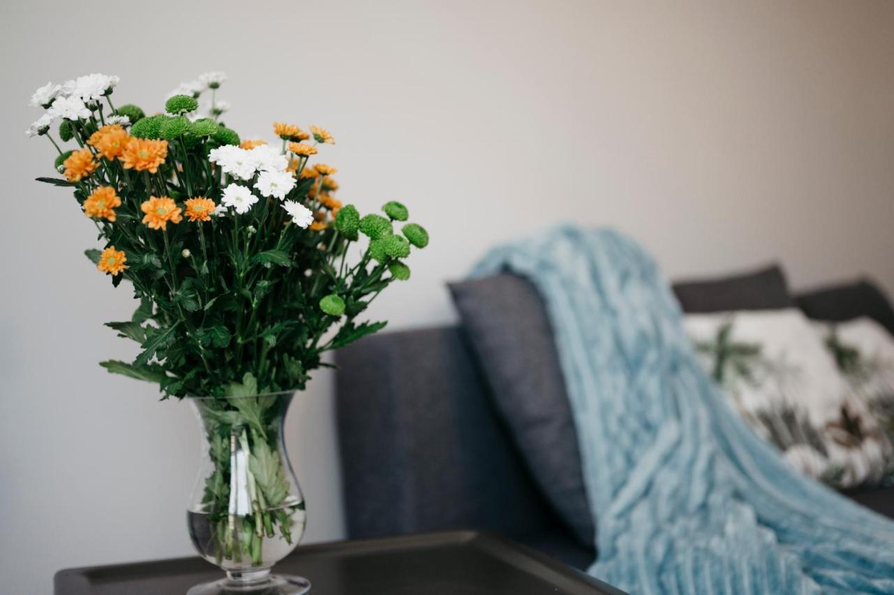 Nocosfera Apartament Serbinow Kaliszki 외부 사진